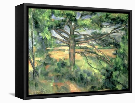 The Large Pine, 1895-97-Paul Cézanne-Framed Premier Image Canvas