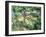 The Large Pine, 1895-97-Paul Cézanne-Framed Giclee Print