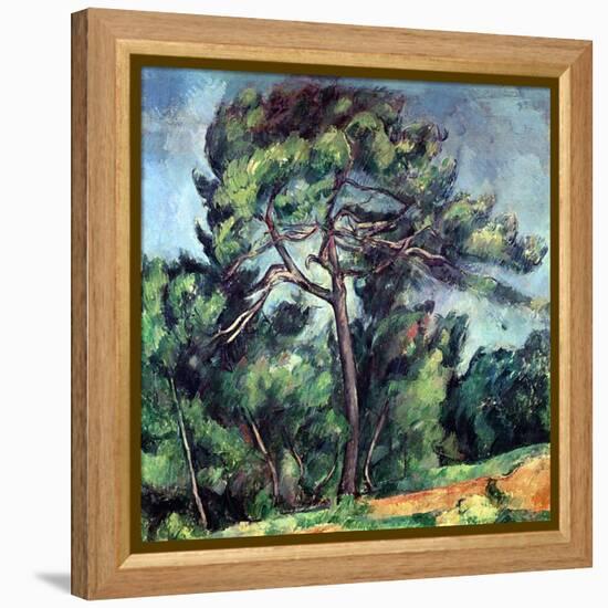 The Large Pine, circa 1889-Paul Cézanne-Framed Premier Image Canvas