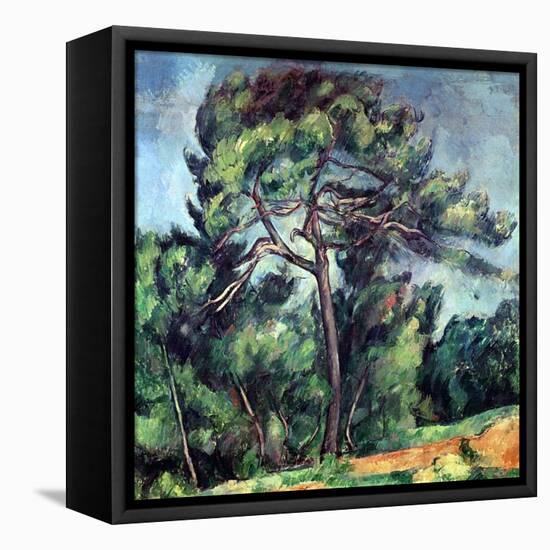 The Large Pine, circa 1889-Paul Cézanne-Framed Premier Image Canvas