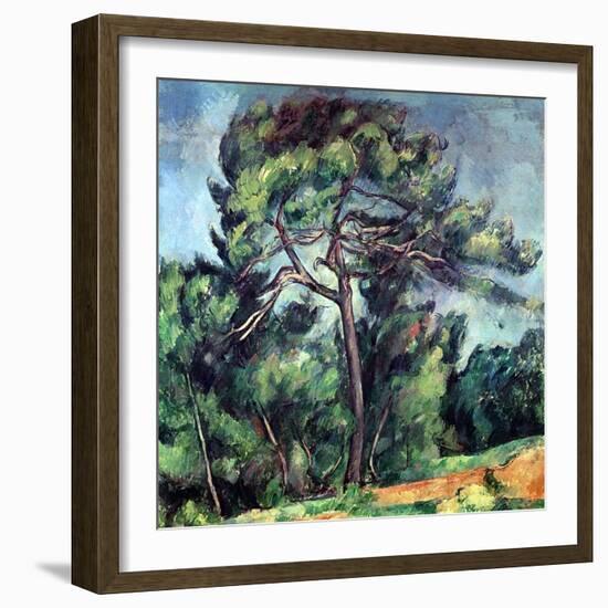 The Large Pine, circa 1889-Paul Cézanne-Framed Giclee Print