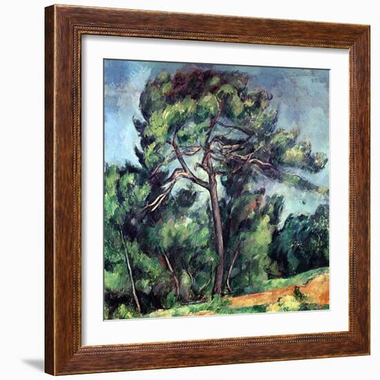 The Large Pine, circa 1889-Paul Cézanne-Framed Giclee Print