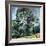 The Large Pine, circa 1889-Paul Cézanne-Framed Giclee Print