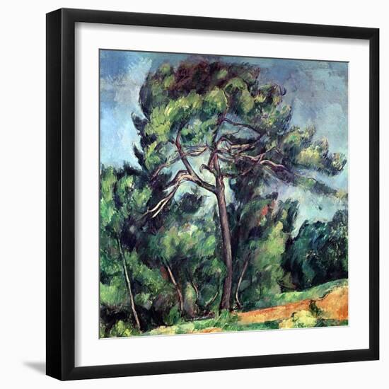 The Large Pine, circa 1889-Paul Cézanne-Framed Giclee Print