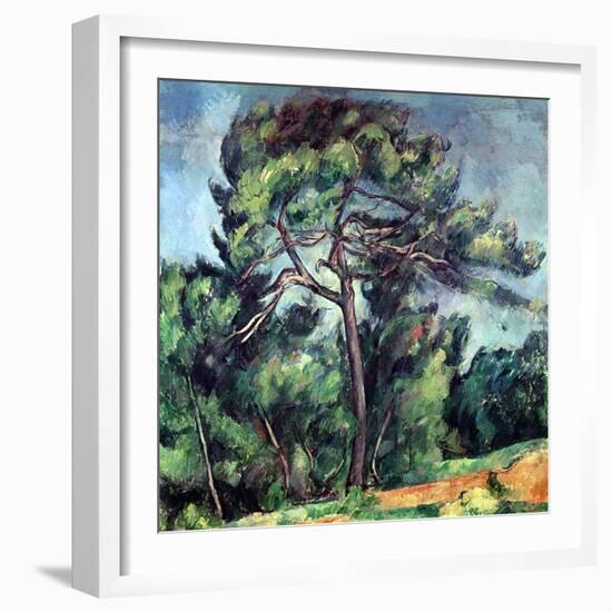 The Large Pine, circa 1889-Paul Cézanne-Framed Giclee Print