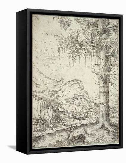 The Large Spruce, C.1520-Albrecht Altdorfer-Framed Premier Image Canvas