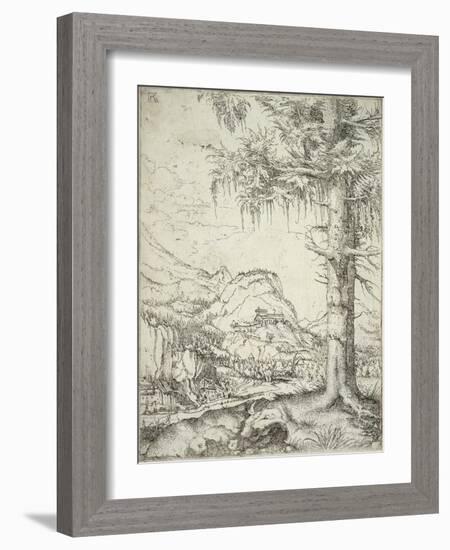 The Large Spruce, C.1520-Albrecht Altdorfer-Framed Giclee Print