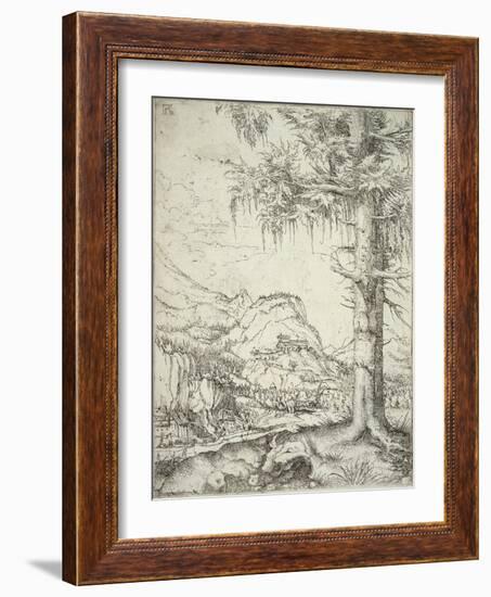 The Large Spruce, C.1520-Albrecht Altdorfer-Framed Giclee Print