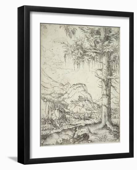 The Large Spruce, C.1520-Albrecht Altdorfer-Framed Giclee Print