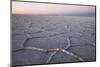 The largest salt flats in the world located in Uyuni, bolivia as the sun is rising in winter.-Mallorie Ostrowitz-Mounted Photographic Print