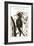 The Largest White-Bill Woodpecker, 1749-73-Mark Catesby-Framed Giclee Print