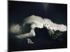 The Last Breath-Malgorzata Maj-Mounted Photographic Print