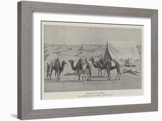 The Last Five Camels-null-Framed Giclee Print
