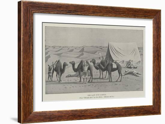 The Last Five Camels-null-Framed Giclee Print