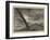 The Last from the Wreck-null-Framed Giclee Print