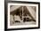 The Last Interview Between President Lincoln and General Mcclellan at Antietam, 1862-Mathew Brady-Framed Giclee Print