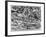 The Last Judgement, Engraved by Pieter Van Der Heyden, 1558-Pieter Bruegel the Elder-Framed Giclee Print