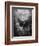 The Last Judgment-Gustave Dor?-Framed Photographic Print