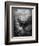 The Last Judgment-Gustave Dor?-Framed Photographic Print