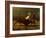 The Last of the Buffalo, C.1888-Albert Bierstadt-Framed Premium Giclee Print