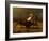 The Last of the Buffalo, C.1888-Albert Bierstadt-Framed Giclee Print