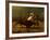 The Last of the Buffalo, C.1888-Albert Bierstadt-Framed Giclee Print