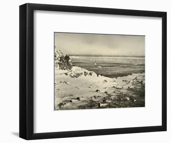 'The Last of the Penguins Just Before Their Migration in March', c1908, (1909)-Unknown-Framed Photographic Print