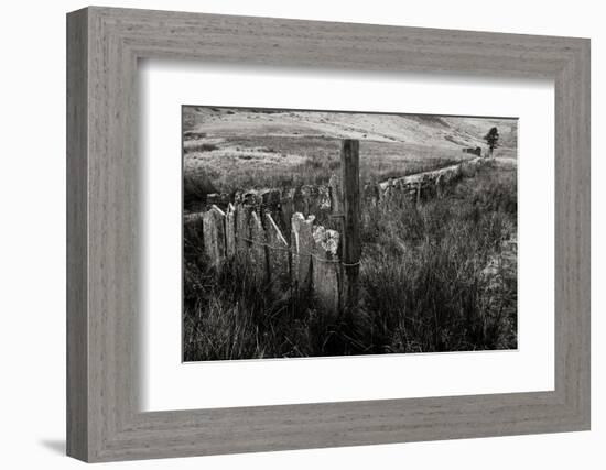The Last Path-Doug Chinnery-Framed Photographic Print