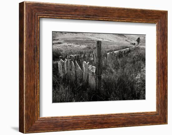 The Last Path-Doug Chinnery-Framed Photographic Print