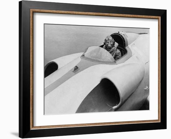 The Last Picture of John Cobb Seen at the Helm of Crusader, Scotland, September 1952-null-Framed Photographic Print