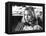 The Last Picture Show, Cybill Shepherd, 1971-null-Framed Stretched Canvas