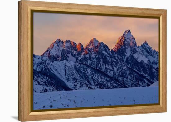 The last rays of sunset hit the Grand Teton on a winter evening-Tim Laman-Framed Premier Image Canvas