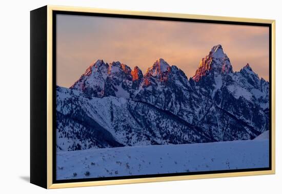 The last rays of sunset hit the Grand Teton on a winter evening-Tim Laman-Framed Premier Image Canvas