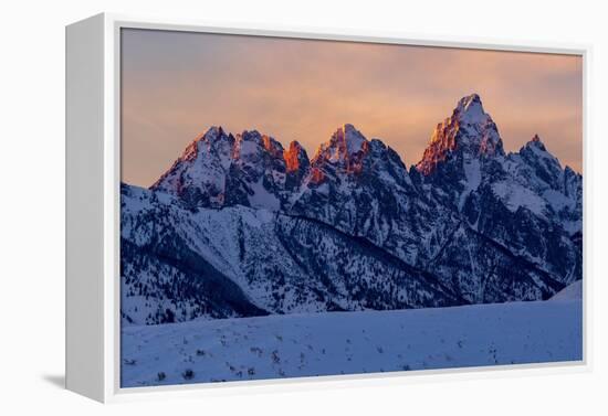 The last rays of sunset hit the Grand Teton on a winter evening-Tim Laman-Framed Premier Image Canvas