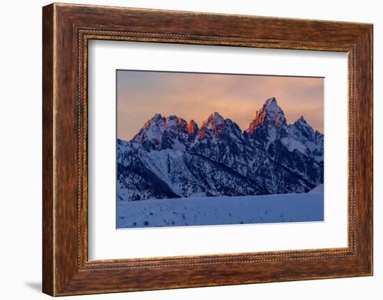 The last rays of sunset hit the Grand Teton on a winter evening-Tim Laman-Framed Photographic Print