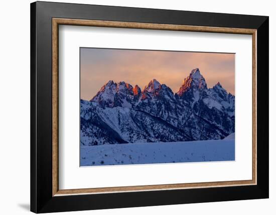 The last rays of sunset hit the Grand Teton on a winter evening-Tim Laman-Framed Photographic Print