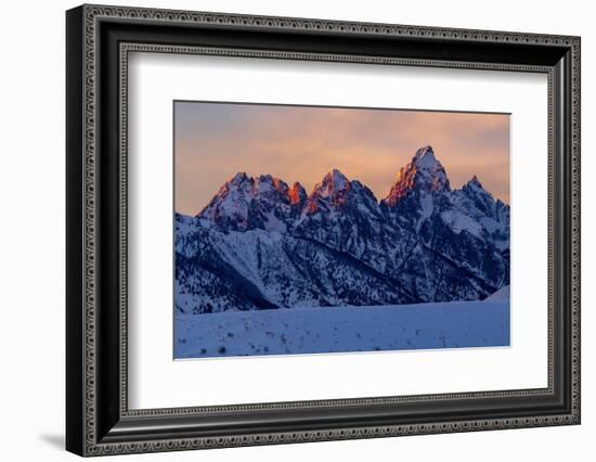 The last rays of sunset hit the Grand Teton on a winter evening-Tim Laman-Framed Photographic Print