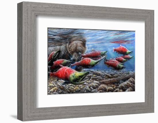 The Last Run - Sockeye Salmon-Kevin Daniel-Framed Art Print