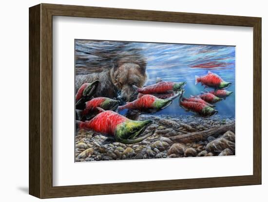 The Last Run - Sockeye Salmon-Kevin Daniel-Framed Art Print