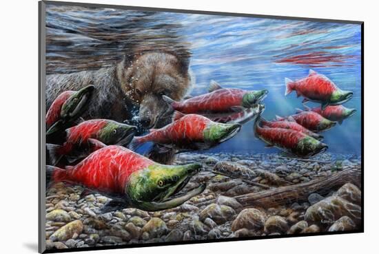 The Last Run - Sockeye Salmon-Kevin Daniel-Mounted Art Print