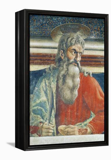 The Last Supper, Detail of Saint Andrew, 1447-Andrea Del Castagno-Framed Premier Image Canvas