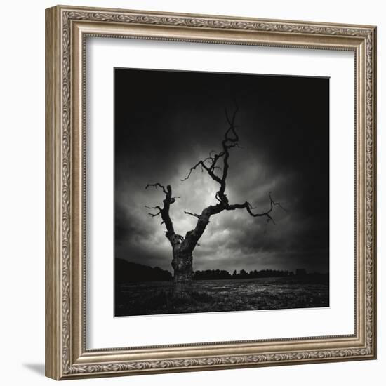 The Last Tree-Marcin Stawiarz-Framed Art Print