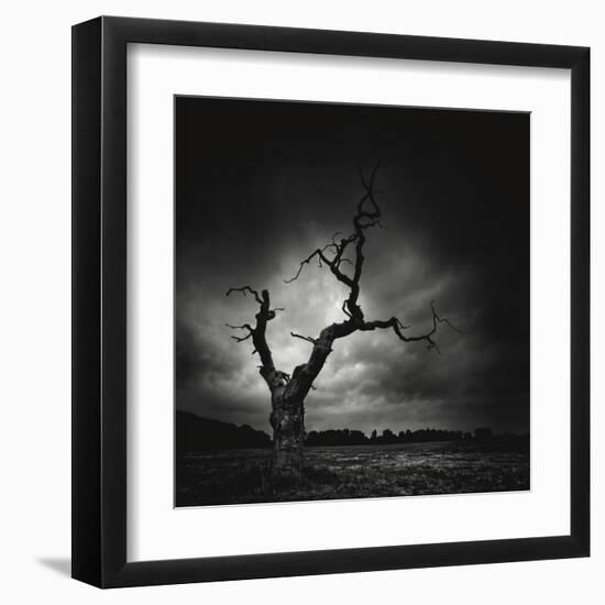 The Last Tree-Marcin Stawiarz-Framed Art Print