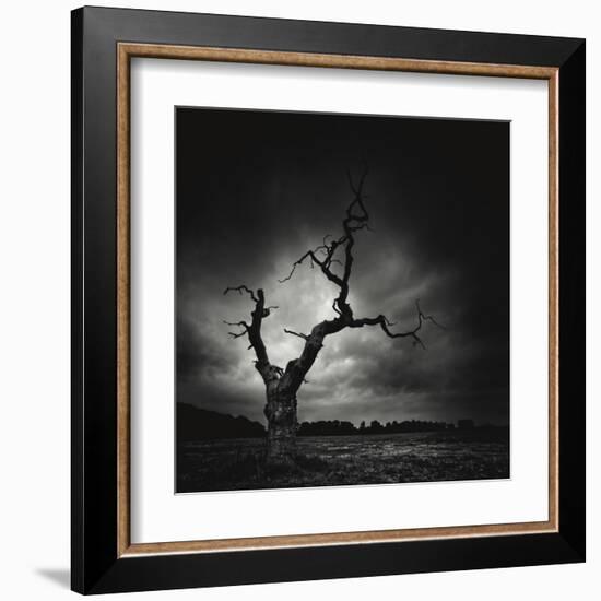 The Last Tree-Marcin Stawiarz-Framed Art Print