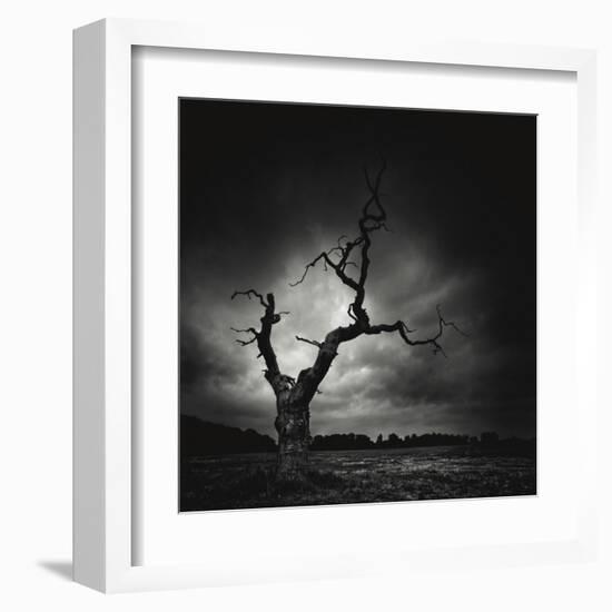 The Last Tree-Marcin Stawiarz-Framed Art Print