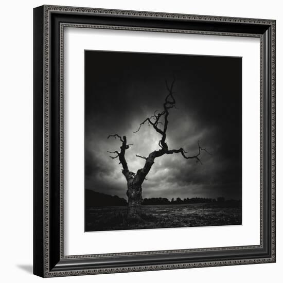 The Last Tree-Marcin Stawiarz-Framed Art Print