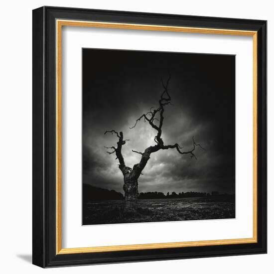 The Last Tree-Marcin Stawiarz-Framed Art Print