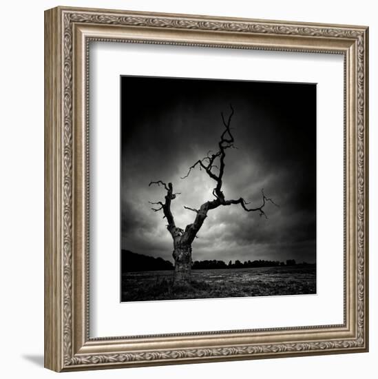 The Last Tree-Marcin Stawiarz-Framed Art Print