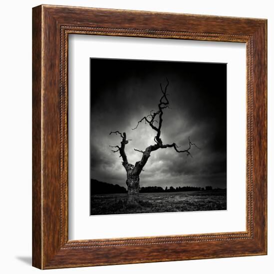 The Last Tree-Marcin Stawiarz-Framed Art Print