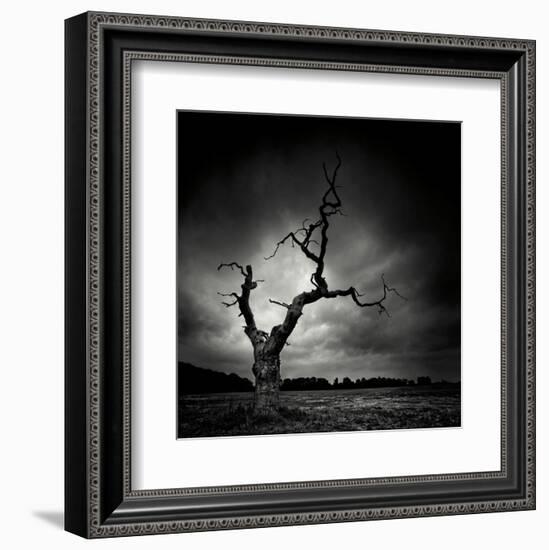 The Last Tree-Marcin Stawiarz-Framed Art Print